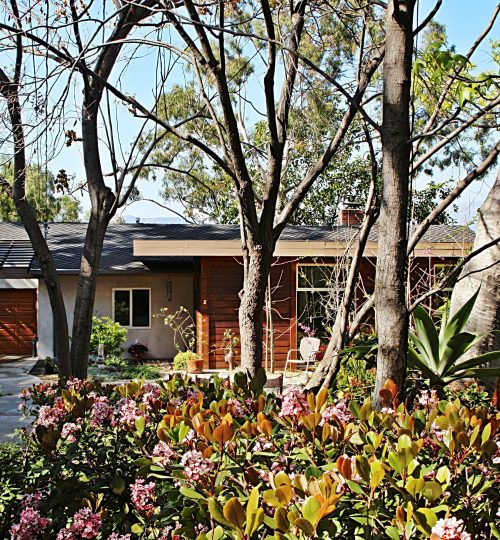 UNIQUE AND MEMORABLE: A One-of-a-Kind Masterpiece on Mount Washington