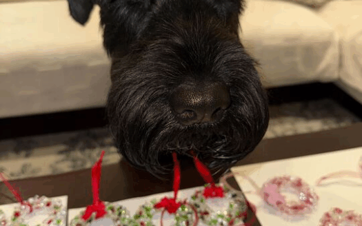 Featured Image_Hidden Talents in Pasadena: The Glass Art World of Dr. Beatrice Haddad