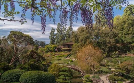 Featured Image_7 Effortless Outdoor Moments That Define Life in Greater Pasadena